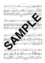 画像をギャラリービューアに読み込む, ひこうき雲(フルートソロ)