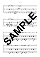 画像をギャラリービューアに読み込む, エトピリカ(ヴァイオリンソロ)