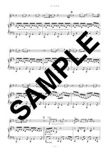 画像をギャラリービューアに読み込む, エトピリカ(ヴァイオリンソロ)