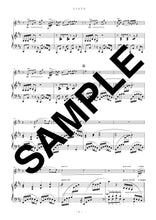 画像をギャラリービューアに読み込む, エトピリカ(ヴァイオリンソロ)